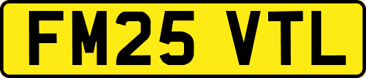FM25VTL