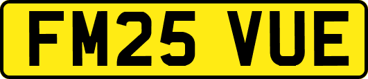 FM25VUE