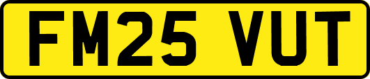 FM25VUT