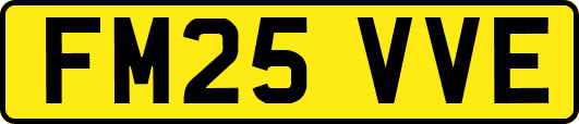 FM25VVE