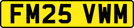 FM25VWM