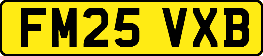 FM25VXB