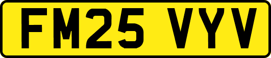 FM25VYV