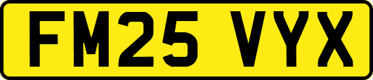 FM25VYX