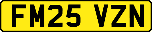 FM25VZN