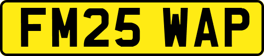 FM25WAP