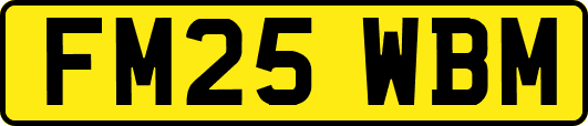 FM25WBM