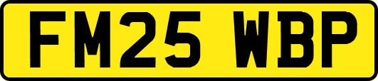 FM25WBP