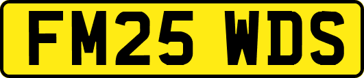 FM25WDS