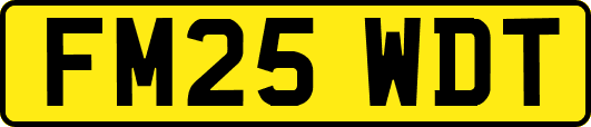 FM25WDT