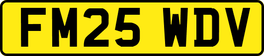 FM25WDV