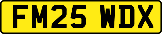 FM25WDX