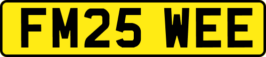 FM25WEE