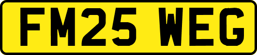 FM25WEG