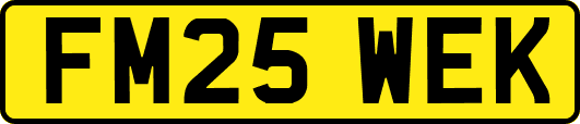 FM25WEK