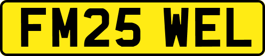 FM25WEL