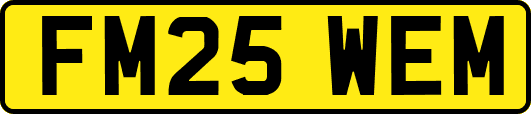 FM25WEM