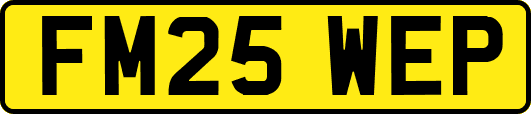 FM25WEP