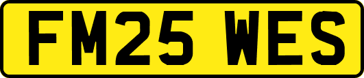 FM25WES