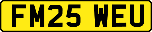 FM25WEU