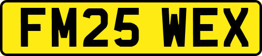 FM25WEX