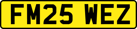 FM25WEZ