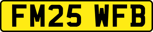 FM25WFB