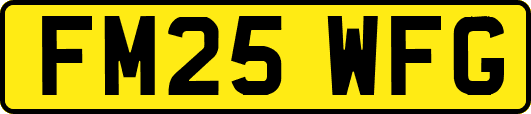 FM25WFG