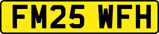FM25WFH