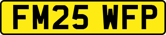 FM25WFP