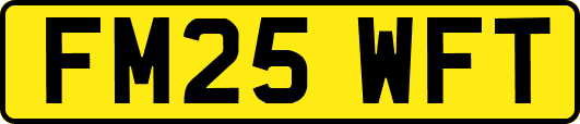 FM25WFT