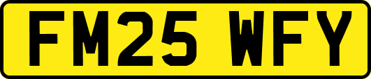 FM25WFY