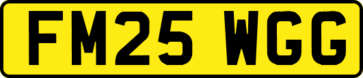 FM25WGG