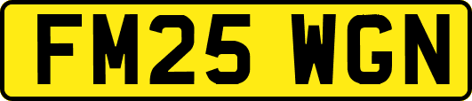 FM25WGN