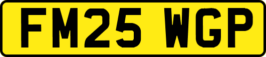 FM25WGP