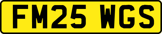 FM25WGS