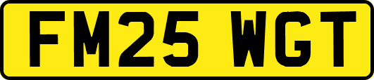 FM25WGT