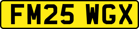 FM25WGX