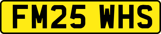 FM25WHS