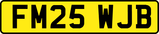 FM25WJB