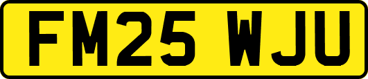 FM25WJU