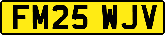FM25WJV