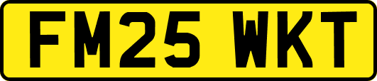FM25WKT
