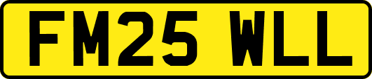 FM25WLL
