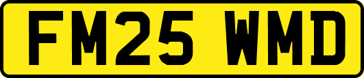 FM25WMD