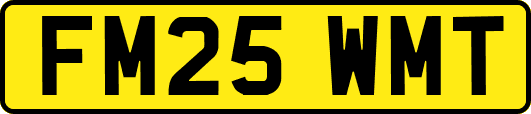 FM25WMT