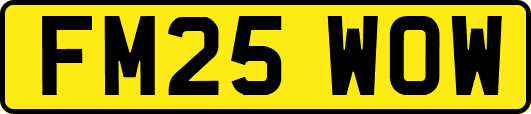FM25WOW
