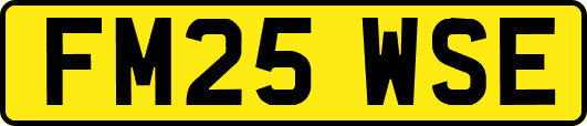 FM25WSE