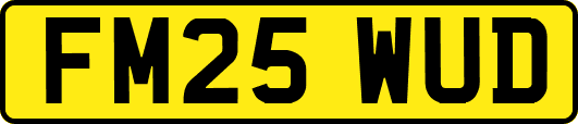 FM25WUD