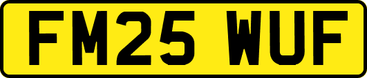 FM25WUF